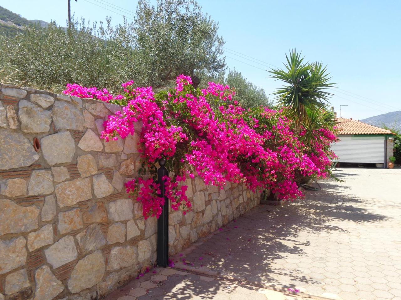 Villa Bamour With Paradise View Epidaurus Exteriör bild